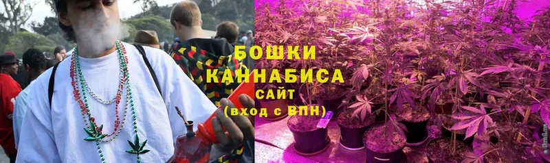 Конопля ГИДРОПОН  Новое Девяткино 